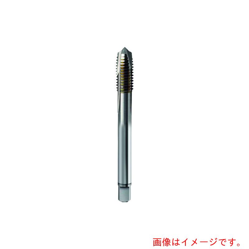 グーリングジャパン（GUHRING） 高効率用米突所せまいねじ用水道栓 レギュラ Ｍ１６×１．５ 【品番：4469 16.007】