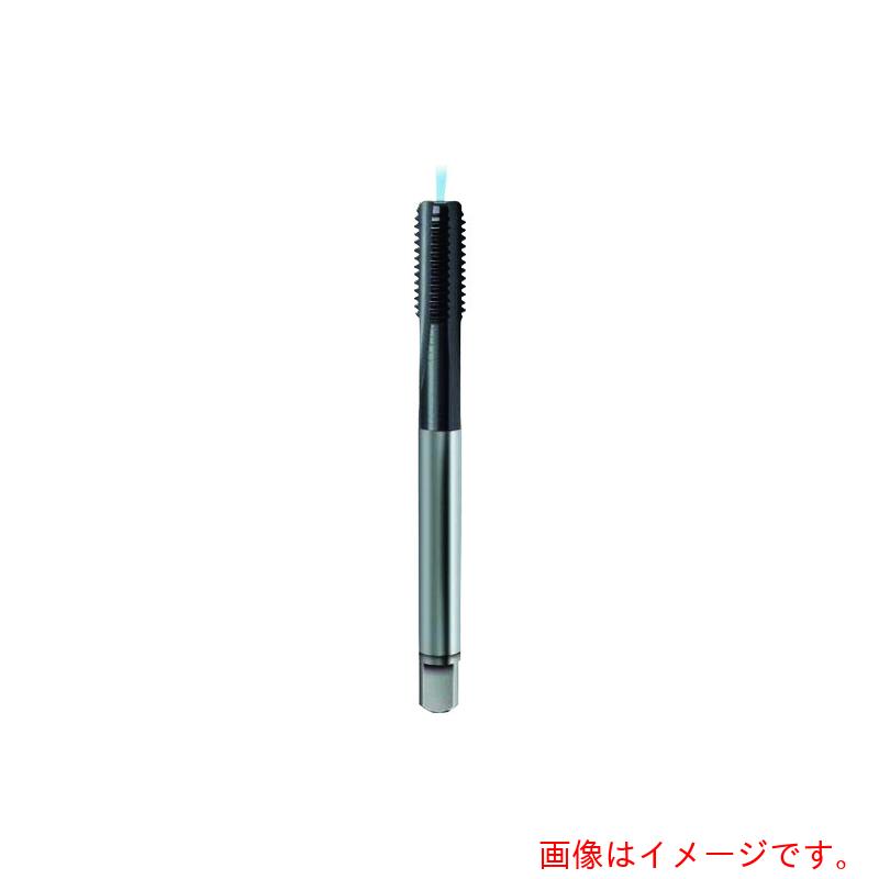 グーリングジャパン（GUHRING） 米突所せまいねじ用水道栓 レギュラＴｉＣＮ厚地の外套 Ｍ１０×１ 【品番：4472 10.005】