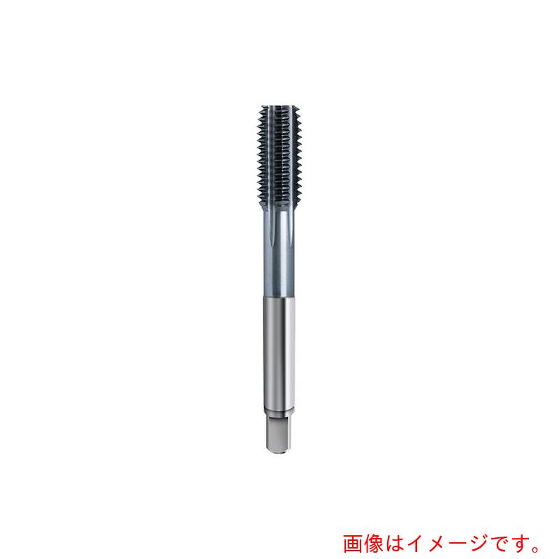 グーリングジャパン（GUHRING）　フルートレスタップ　高能率用　Ｐｉｏｎｅｘ　油溝付き　　Ｍ１０　ｘ　１．２５　【品番：4585 10.075】