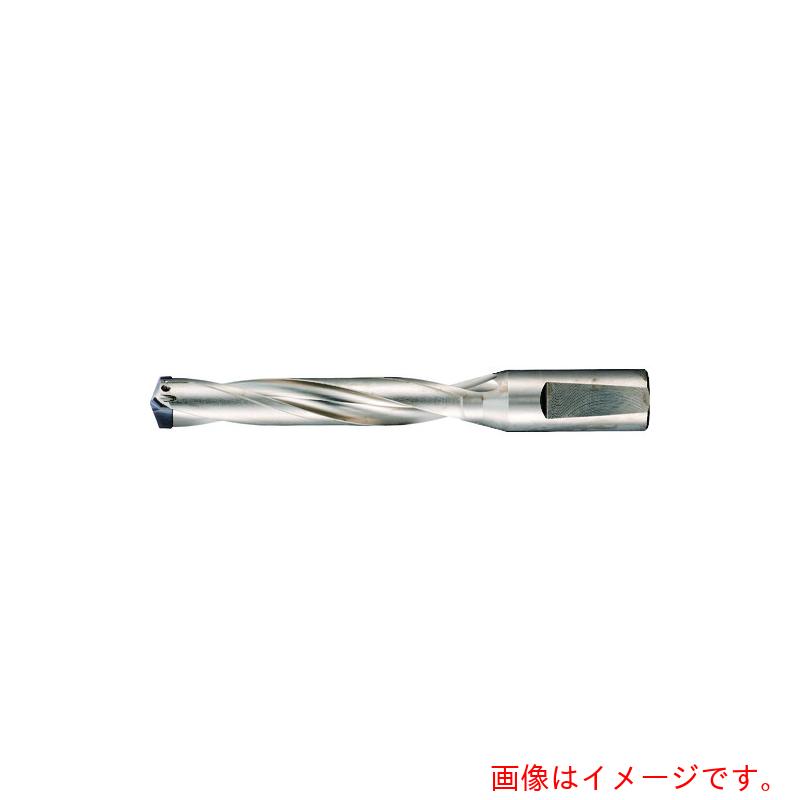 グーリングジャパン（GUHRING）　刃先交換式超硬ドリルホルダ５×Ｄ用　２１．０１～２２．５０ｍｍ　【品番：5243 22.500】