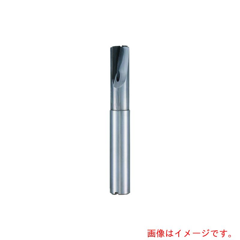グーリングジャパン（GUHRING） ＰＣＤ ２枚刃挙げ句のはて粉砕機 レギュラ ２０粍 【品番：5492 20.001】