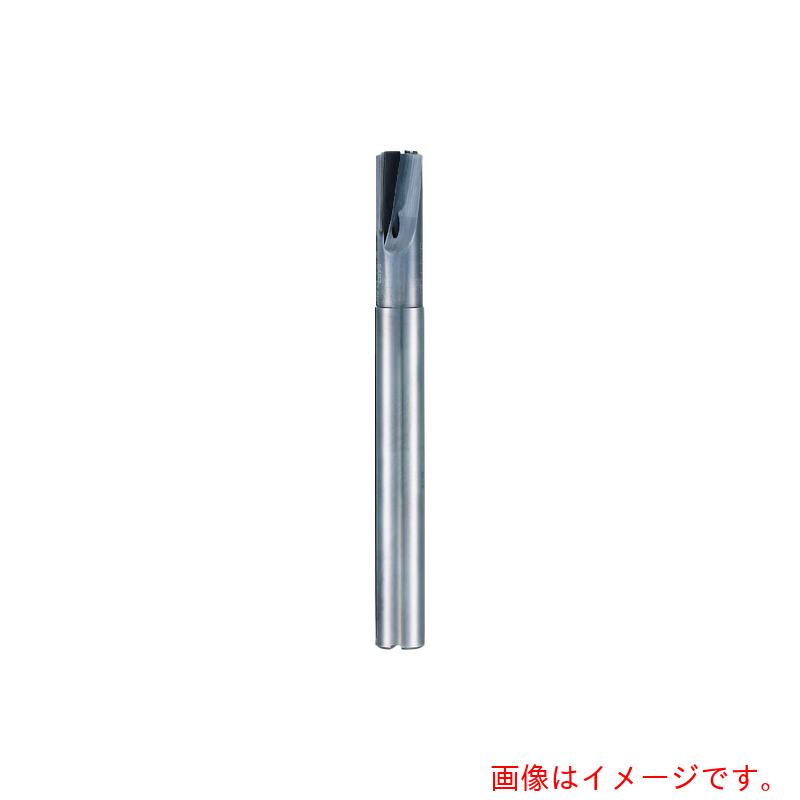 グーリングジャパン（GUHRING） ＰＣＤ ２枚刃挙げ句のはて粉砕機 ロングシャンク １８粍 【品番：5493 18.001】