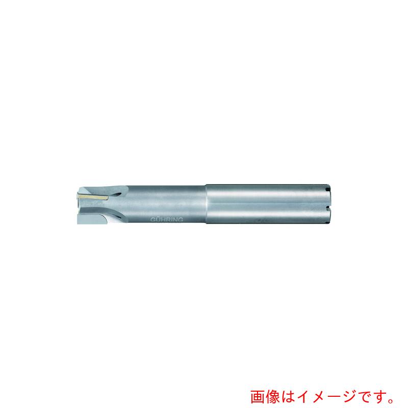 グーリングジャパン（GUHRING）　ＰＣＤ　３枚刃エンドミル　ロングシャンク　１６ｍｍ　【品番：5496 16.001】