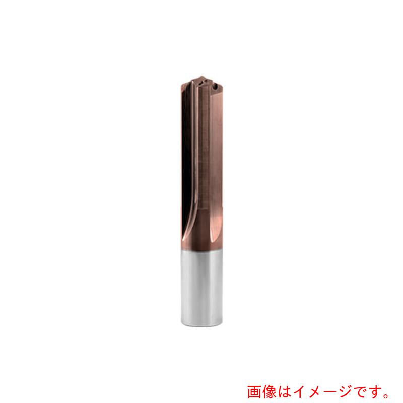 グーリングジャパン（GUHRING）　超硬４枚刃ドリル　オイルホール付き　ＶＢ　１００　Ｐ　５ｘＤ　　８ｍｍ　【品番：6045 8.000】