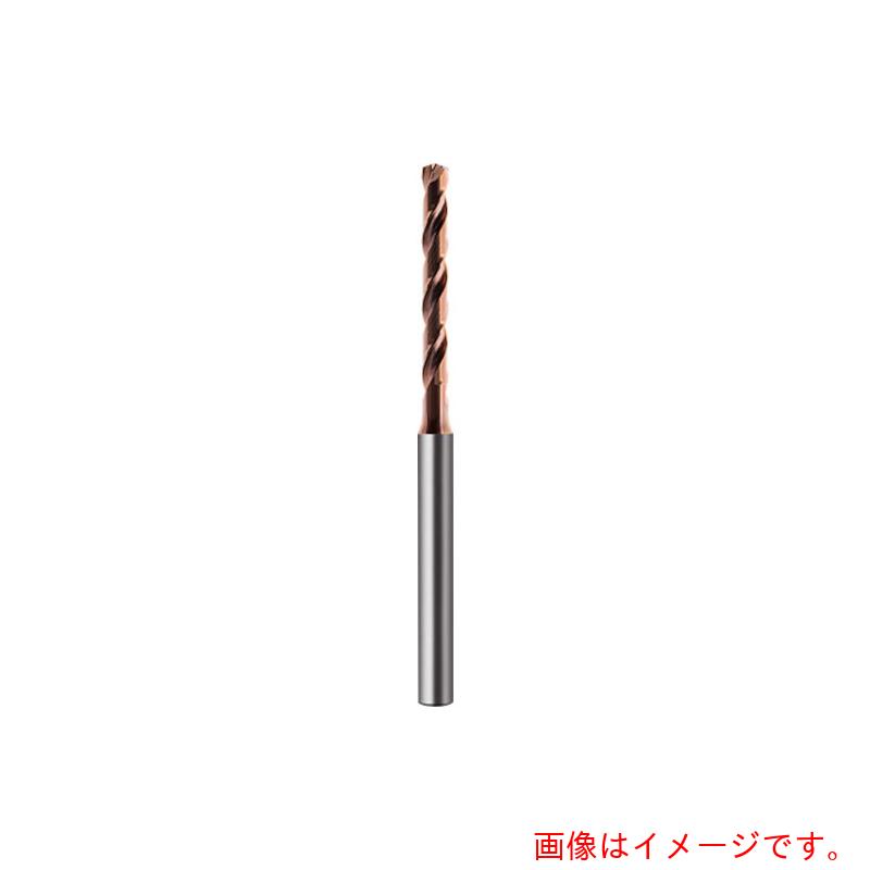 グーリングジャパン（GUHRING） マイクロせん孔機 ５ｘＤ 油絵の具広座敷付き添い人 手合い ＶＡ  ２．４５粍 【品番：6489 2.450】