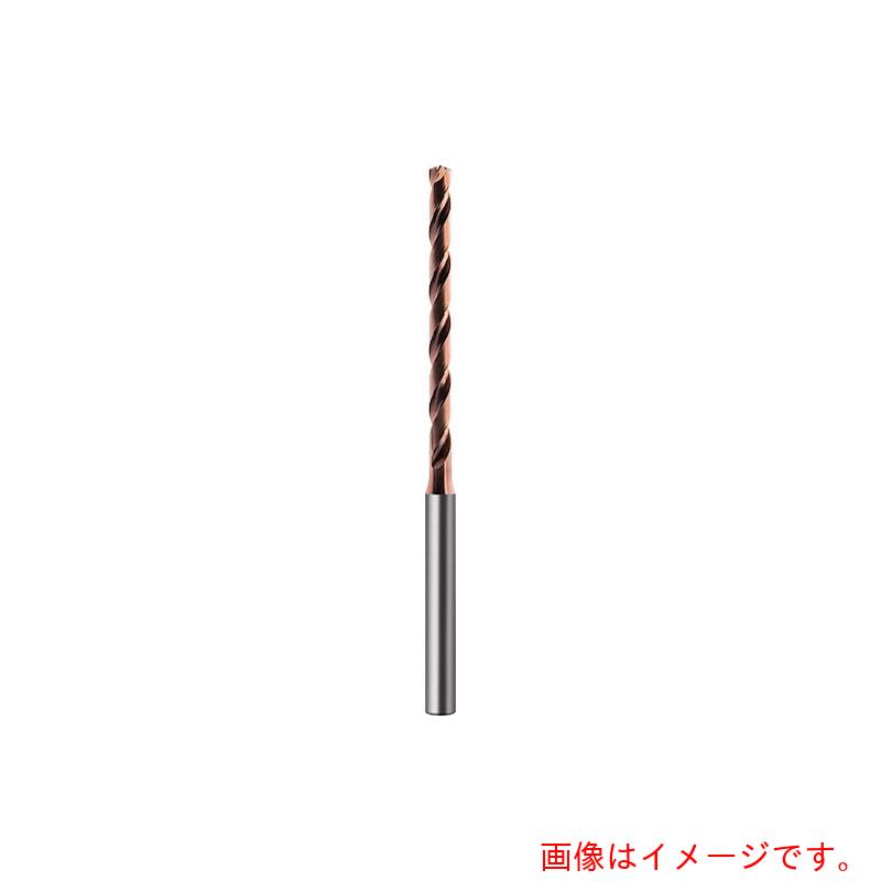 グーリングジャパン（GUHRING） マイクロせん孔機 １０ｘＤ 油絵の具大広間付き添い人 手合い ＶＡ  ２．９５粍 【品番：6490 2.950】