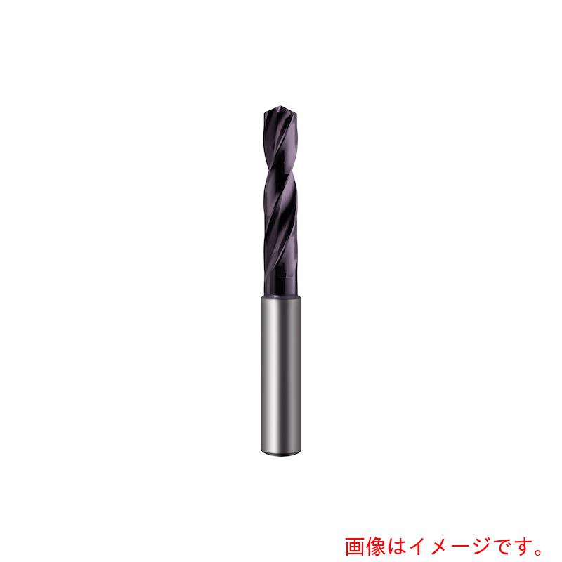 グーリングジャパン（GUHRING） 高効率せん孔機 ３ｘＤ 油絵の具大広間付き添い人 ＲＴ１００ＸＦ  １０．４粍 【品番：6498 10.400】
