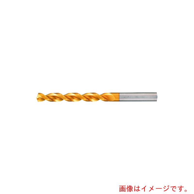 グーリングジャパン（GUHRING） 深穴産業せん孔機 レギュラ ＴｉＮ厚地の外套 １２．８粍 【品番：658 12.800】