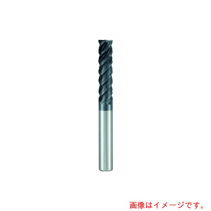 グーリングジャパン（GUHRING） ４枚刃Ｓｐｅｅｄ挙げ句の果て圧砕機 空蝉ロングＳｕｐｅｒＡ厚地の外套 １０粍 【品番：6766 10.000】