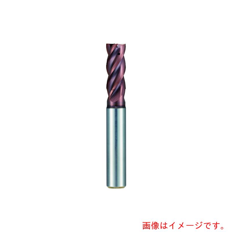 グーリングジャパン（GUHRING） ４枚刃Ｄｉｖｅｒ挙げ句のはて粉砕機 レギュラＳｉｇｎｕｍ厚地の外套 １０粍 【品番：6801 10.000】
