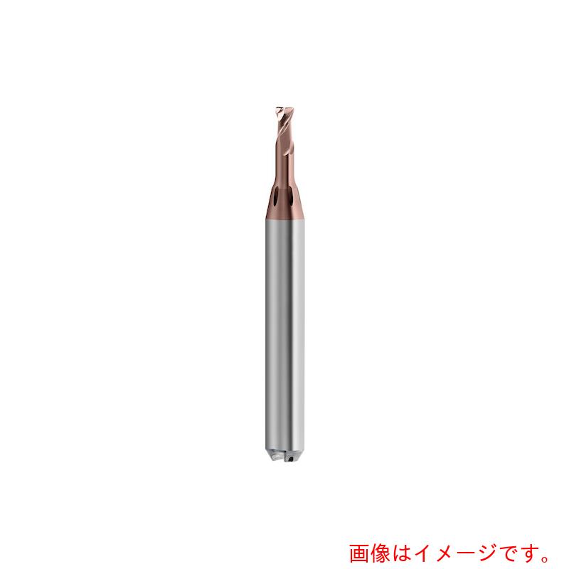 グーリングジャパン（GUHRING） ２枚刃高的確さトーラスエンドミル Ｇ－Ｍｏｌｄ マイクロ ６５ Ｔ 遊撃手  ３粍 【品番：6821 3.003】