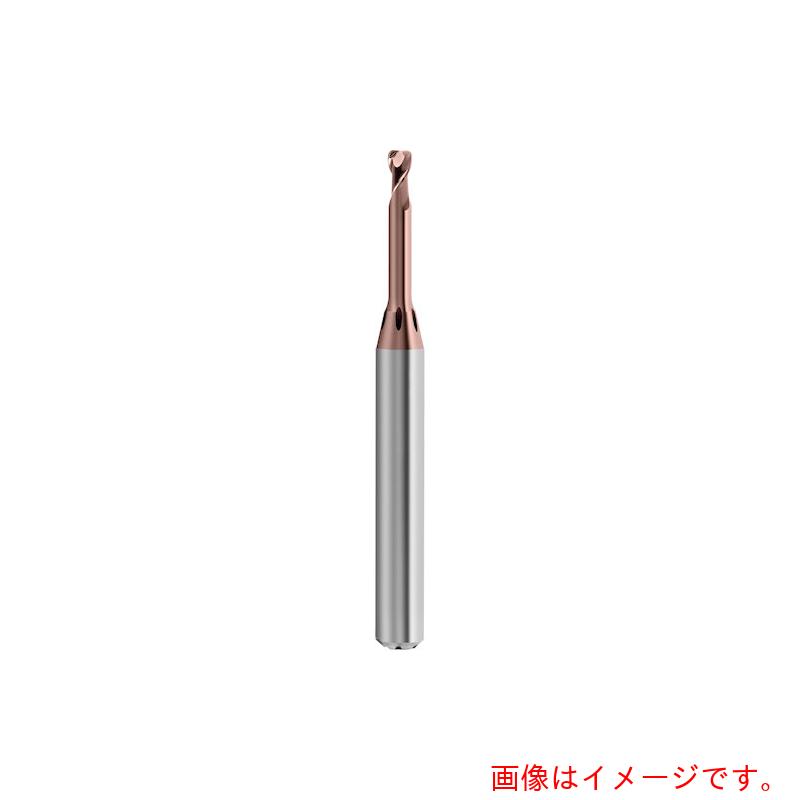グーリングジャパン（GUHRING）　２枚刃高精度トーラスエンドミル　Ｇ－Ｍｏｌｄ　マイクロ　６５　Ｔ　レギュラ　　３ｍｍ　【品番：6822 3.002】