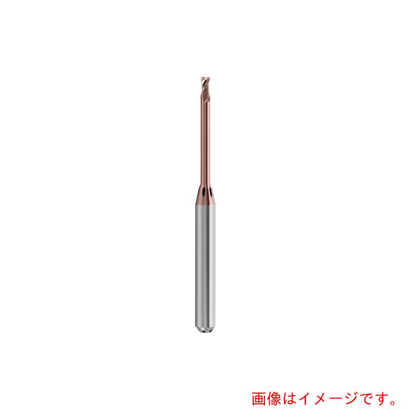 グーリングジャパン（GUHRING） ２枚刃高的確さトーラスエンドミル Ｇ－Ｍｏｌｄ マイクロ ６５ Ｔ レギュラ  ２．５粍 【品番：6824 2.502】