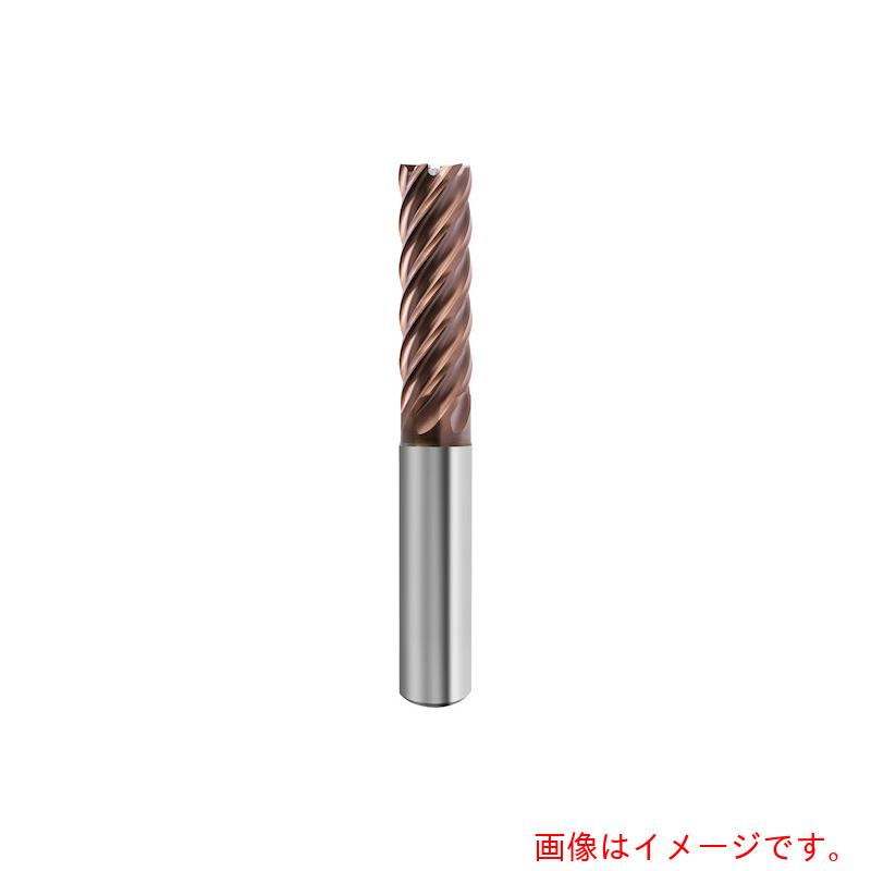 グーリングジャパン（GUHRING） ６枚刃高精度仕上用エンドミル Ｇ－Ｍｏｌｄ マイクロ ６５ Ｆ ロング ３ｘＤ  １２ｍｍ 【品番：6828 12.000】
