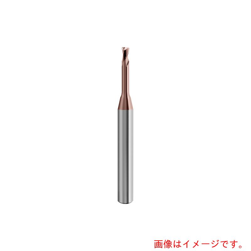 グーリングジャパン（GUHRING）　２枚刃トーラスエンドミル　Ｇ－Ｍｏｌｄ　５５　Ｔ　レギュラ　　３ｍｍ　【品番：6850 3.003】