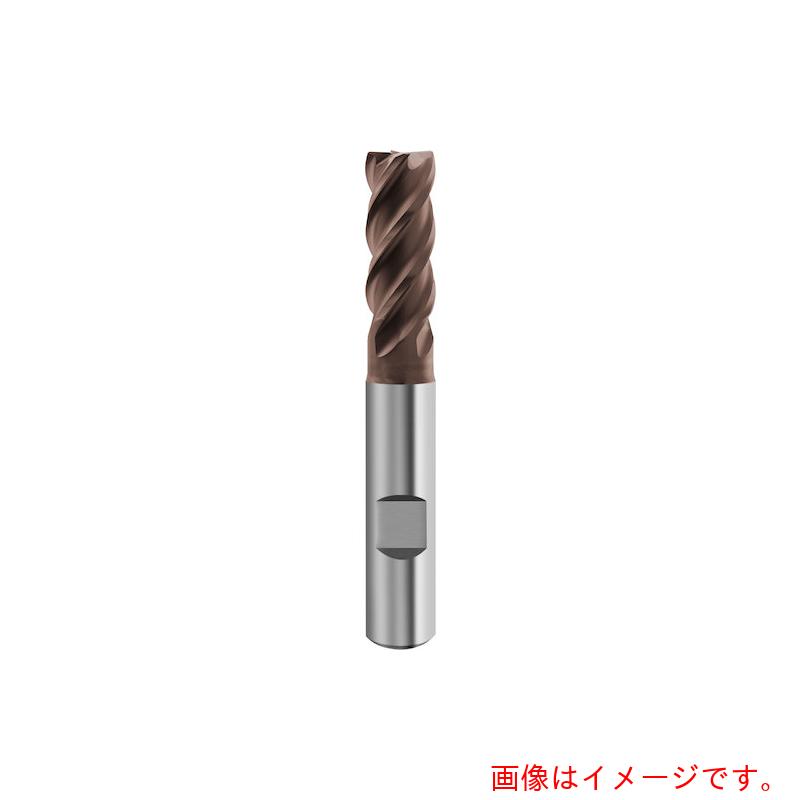 グーリングジャパン（GUHRING） ４枚刃不釣り合いリードエンドミル Ｇ－Ｍｏｌｄ ６５ Ｕ レギュラ  １０粍 【品番：6943 10.000】