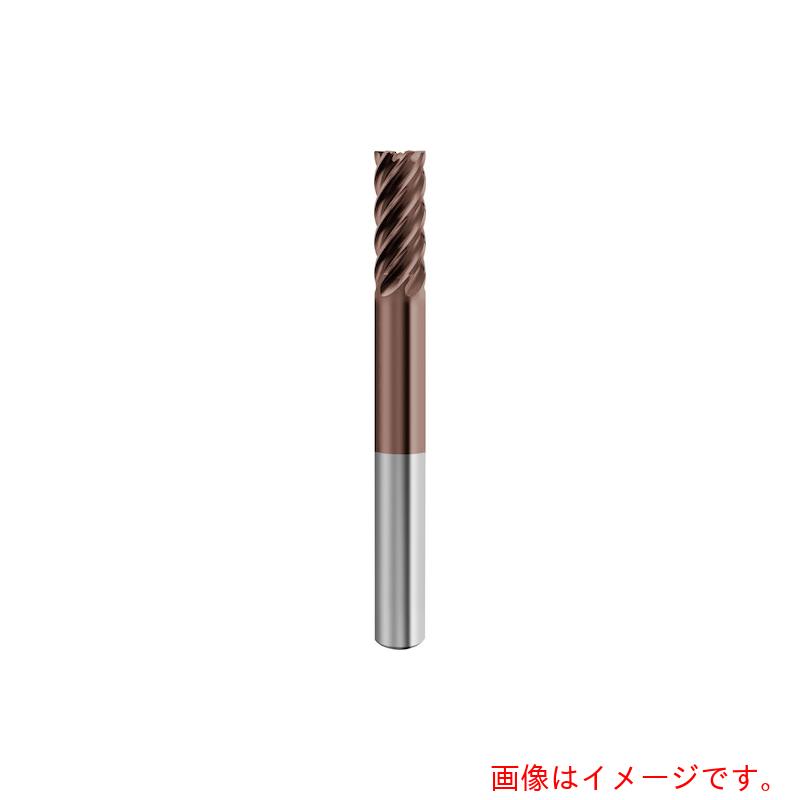 グーリングジャパン（GUHRING）　６枚刃仕上用エンドミル　Ｇ－Ｍｏｌｄ　６５　Ｆ　エクストラロング　　６ｍｍ　【品番：6946 6.000】 6,748円