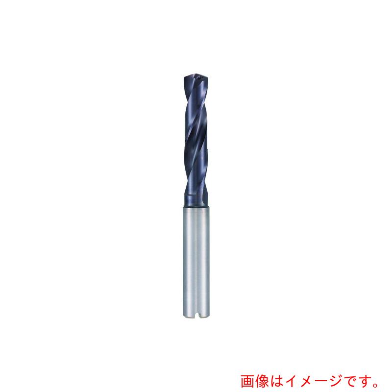 グーリングジャパン（GUHRING） 超硬ステンレス鋼用せん孔機３×Ｄ用 ｎａｎｏＡ厚地の外套 １７．５粍 【品番：8510 17.500】