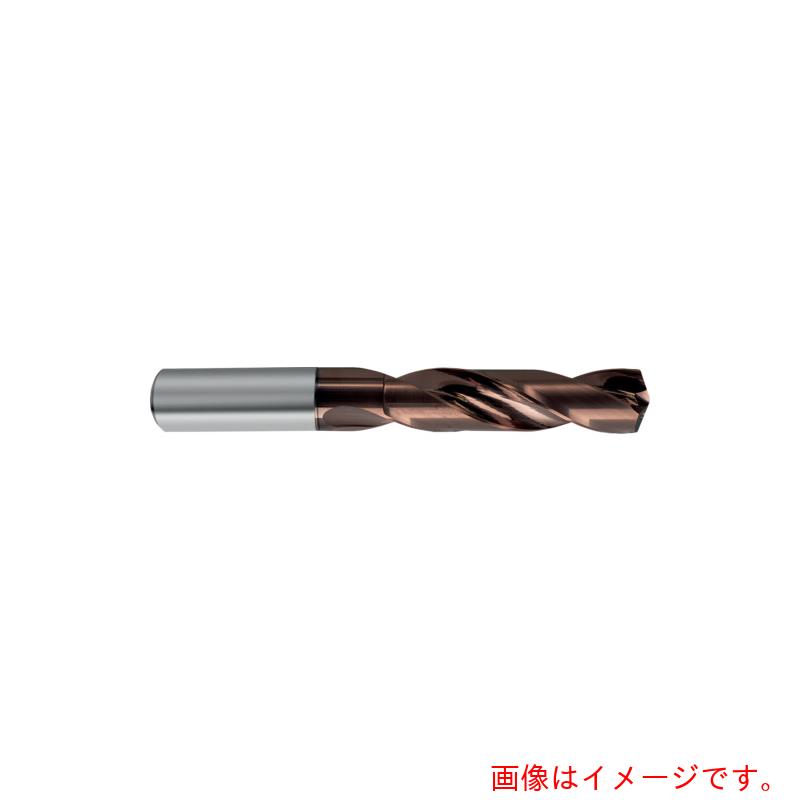グーリングジャパン（GUHRING）　超硬ストレートシャンクドリル５ｘＤ用８．９ｍｍ　【品番：8513 8.900】