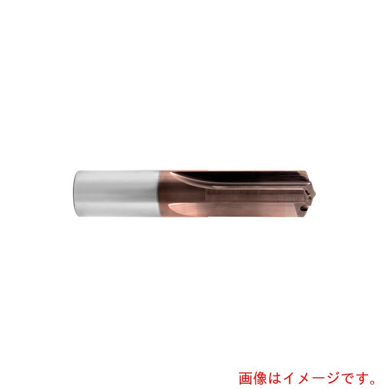 グーリングジャパン（GUHRING） ４枚刃せん孔機 ３ｘＤ Ｓｉｇｎｕｍ厚地の外套 ９粍 【品番：6044 9.000】