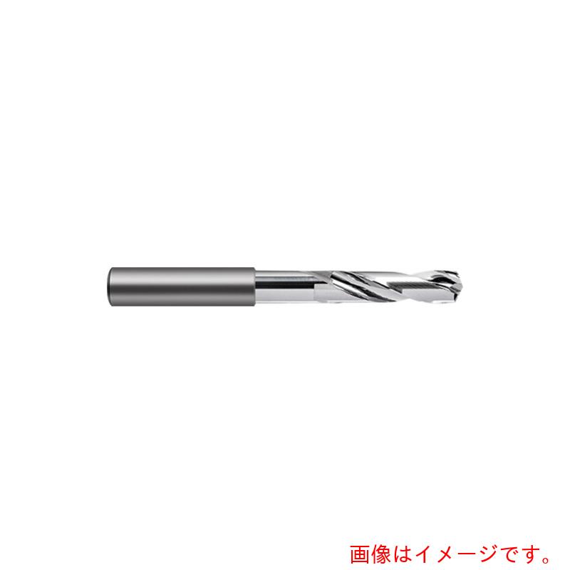 グーリングジャパン（GUHRING） 軽銀・非鉄金属元素用せん孔機 ３ｘＤ 無取り計らう １９粍 【品番：6062 19.000】 ドリル-花・ガーデン・DIY-電動・エア工具用アクセサリー