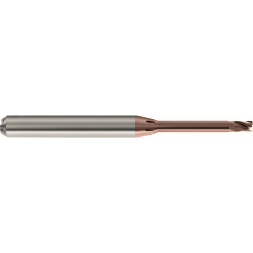 グーリングジャパン（GUHRING）　高精度小径エンドミル　ロングネック　Ｐｅｒｒｏｘコート　０．２５ｍｍ　Ｍｉｃｒｏ　Ｍｉｌｌ　μ５５Ｕ　【品番：6829 0.252】