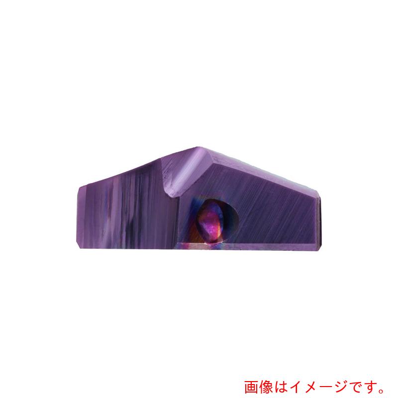 グーリングジャパン（GUHRING） 刃先取り替えっこ式超硬せん孔機用手当て １８粍 【品番：2485 18.000】