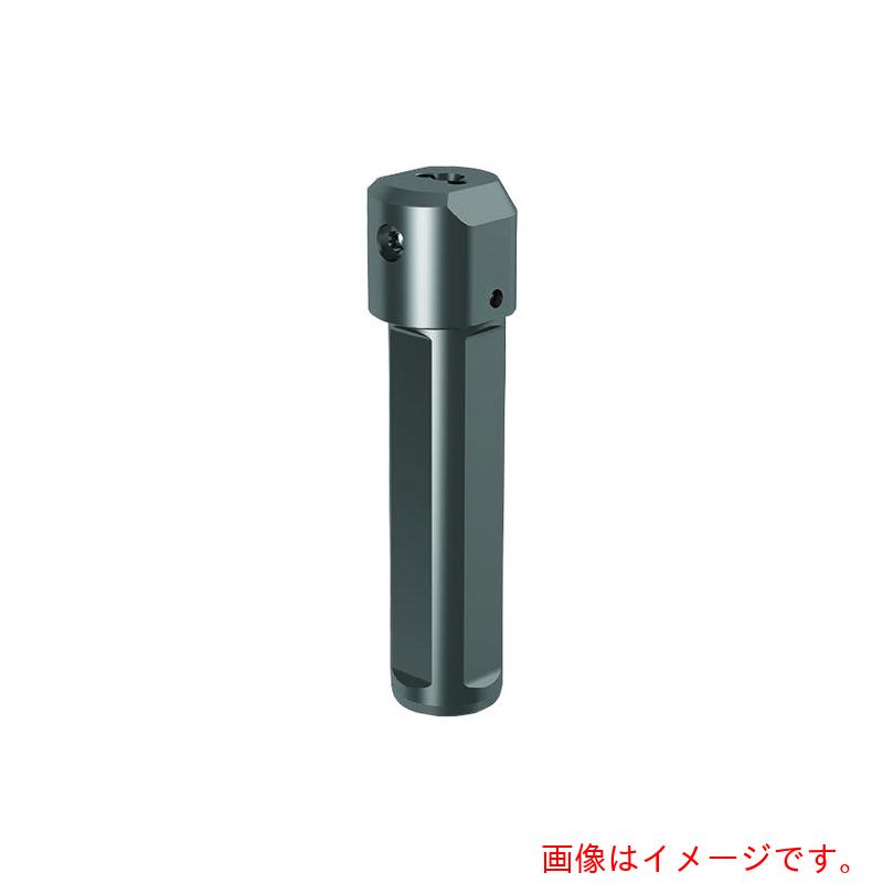 グーリングジャパン（GUHRING） 溝入れ手道具 丸シャンクホルダ・頭クランプねじ ４面平すべり出し レギュラ－ ＧＢ１０４．００２５．１００．００．１５．Ｎ．ＩＫ．ＶＳＰ 【品番：25018 4.040】