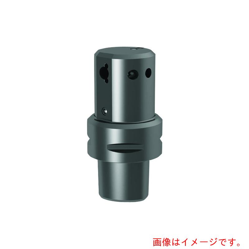 グーリングジャパン（GUHRING） 溝入れ手道具 ポリゴンシャンクホルダ ＩＳＯ ２６６２３・オフセット ９０° レギュラ－ ＧＨ１０６．ＰＯ６３．０５０．９０．２２．Ｌ．ＩＫ 【品番：25309 6.004】