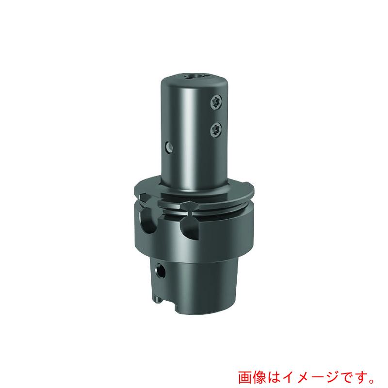 グーリングジャパン（GUHRING） 溝入れ手道具 ＨＳＫ－Ｔ ホルダ ＩＳＯ １２１６４－３・引っ切り無い ０° レギュラ－ ＧＨ１０６．ＨＳ６３．０６３．００．２２．Ｎ．ＩＫ 【品番：25311 6.002】