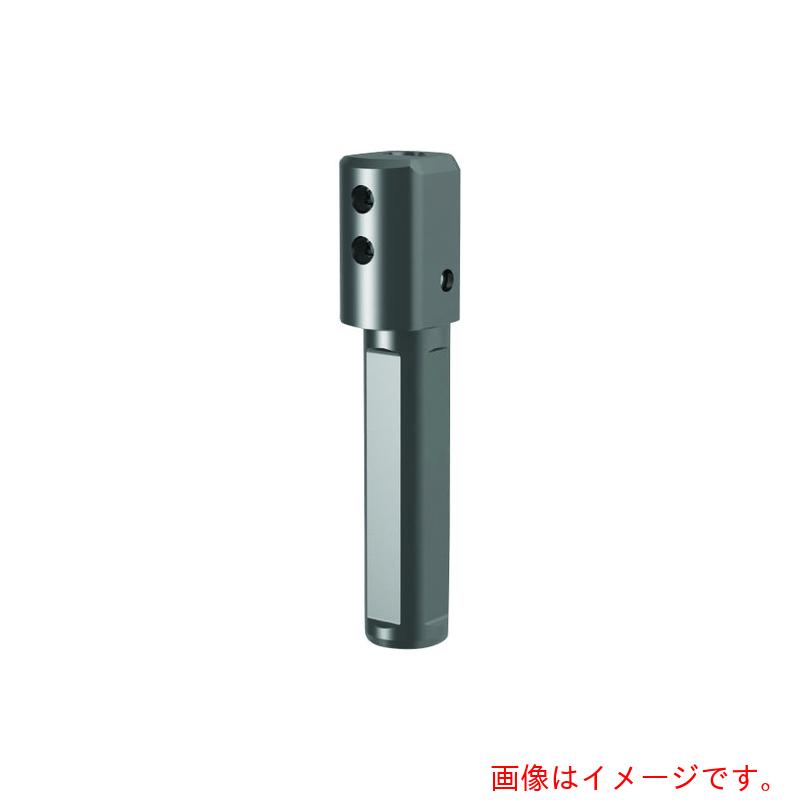 グーリングジャパン（GUHRING） 溝入れ物の具 丸シャンクホルダ・クランプねじ蓋 ４面平すべり出し レギュラ－ ＧＢ１０６．００１６．０９０．００．２２．Ｎ．ＩＫ．ＶＳＰ 【品番：25320 6.010】