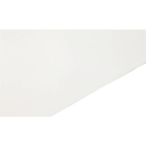ハバジット日本（habasit）　食品用ベルト　ＴＰＵ食品搬送用ベルト　【品番：FNB-5E 300 X 5,000 EF】 49,361円