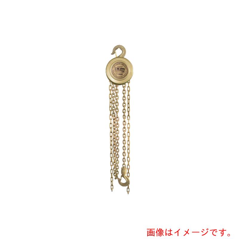 【別途送料あり】ハマコS.S　防爆　チェーンホイスト５ｔ　【品番：CBCHO-5】