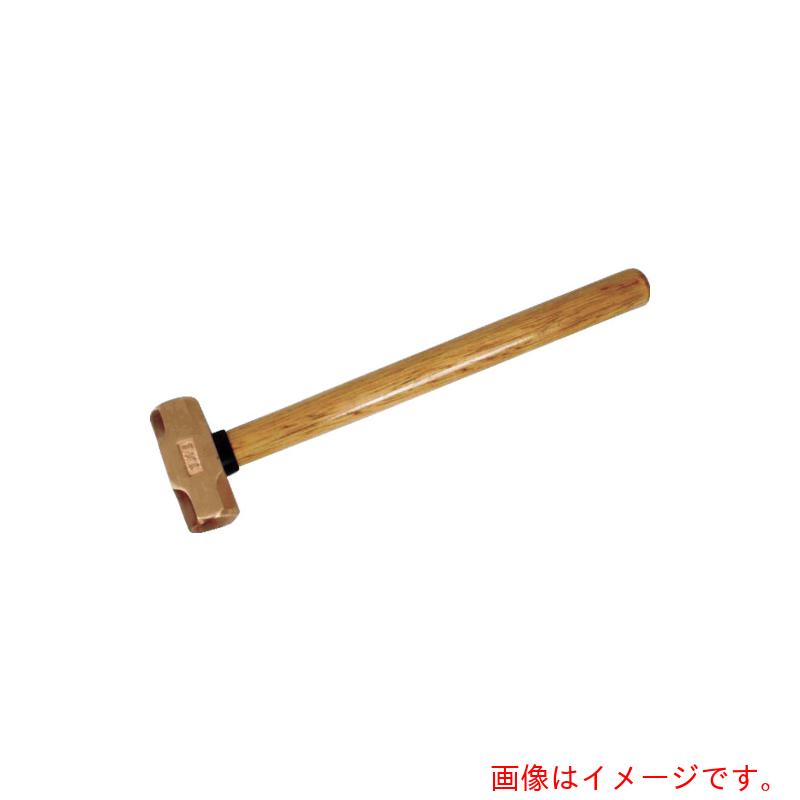 ハマコS.S 両口鉄槌 【品番：CBOH-8】