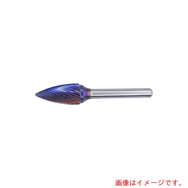 HARDY　超硬バー　ブルーコート　ＴＣＧ１０２００６Ｃ３ＥＣ　シングル　【品番：TCG102006C3EC】