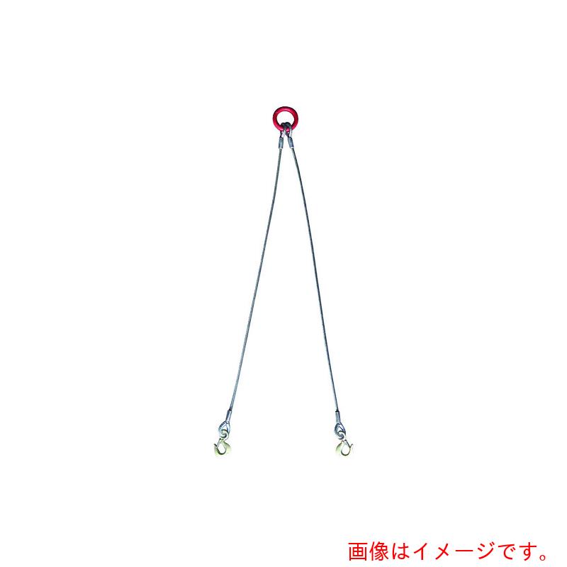 スリーエッチ（HHH）　天びん用２本吊スリング　【品番：PWD10X2】