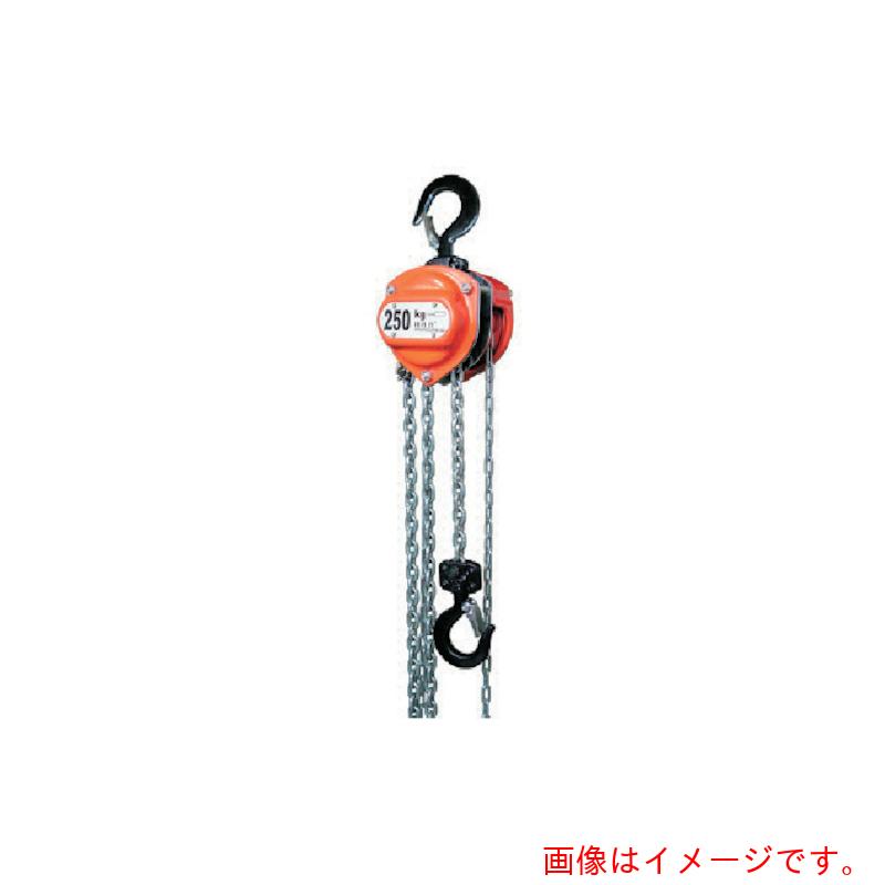 スリーエッチ(HHH) チェーンブロック 定格荷重0.25t 揚程2.5m 【品番:R-CB250】|住設プロ 店