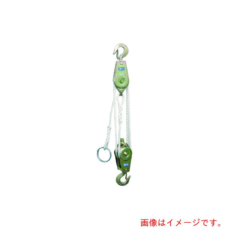 スリーエッチ（HHH）　ロープホイスト　２５０ｋｇ　揚程３ｍ　【品番：RH250】