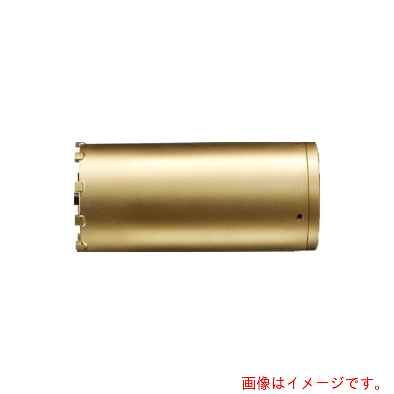 ハウスビーエム スーパーハードコアドリル（上半身のみ） 【品番：AMB-130】