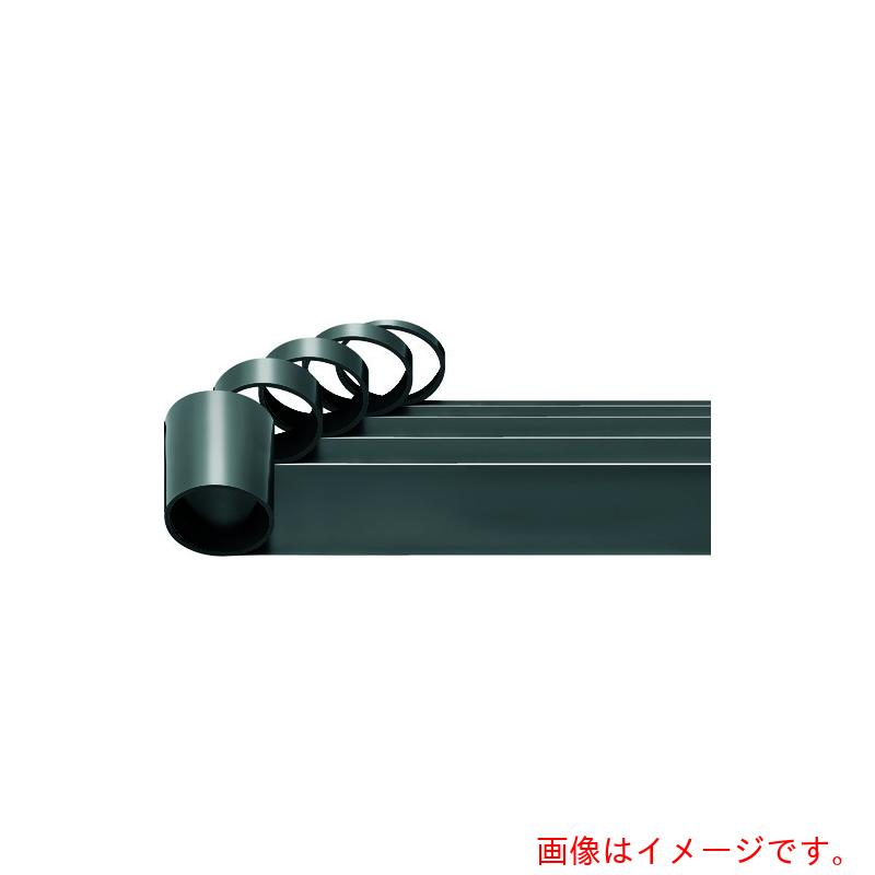 ★イグス（igus） トライボテープＢ１６０（へばり着く磁気テープ付） 【品番：B160-T-005-0500-G-1M】