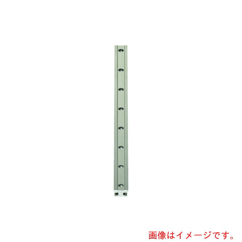 イグス（igus） 素っ気ないリンＴミニチュアガイドレール０７型 【品番：TS-04-07-2000】