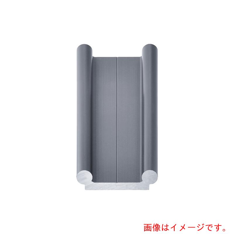 【別途送料あり】イグス（igus）　ドライリンＷダブルレール１０型　【品番：WS-10-40-500】