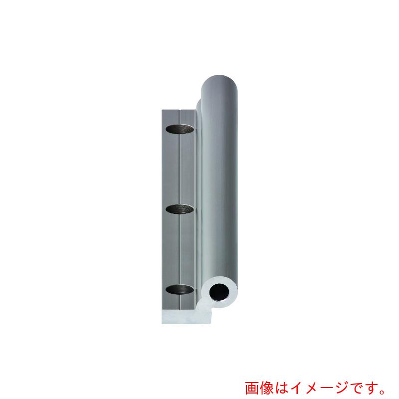 イグス（igus） 素っ気ないリンＷシングル軌跡２５型 【品番：WS-25-2000】