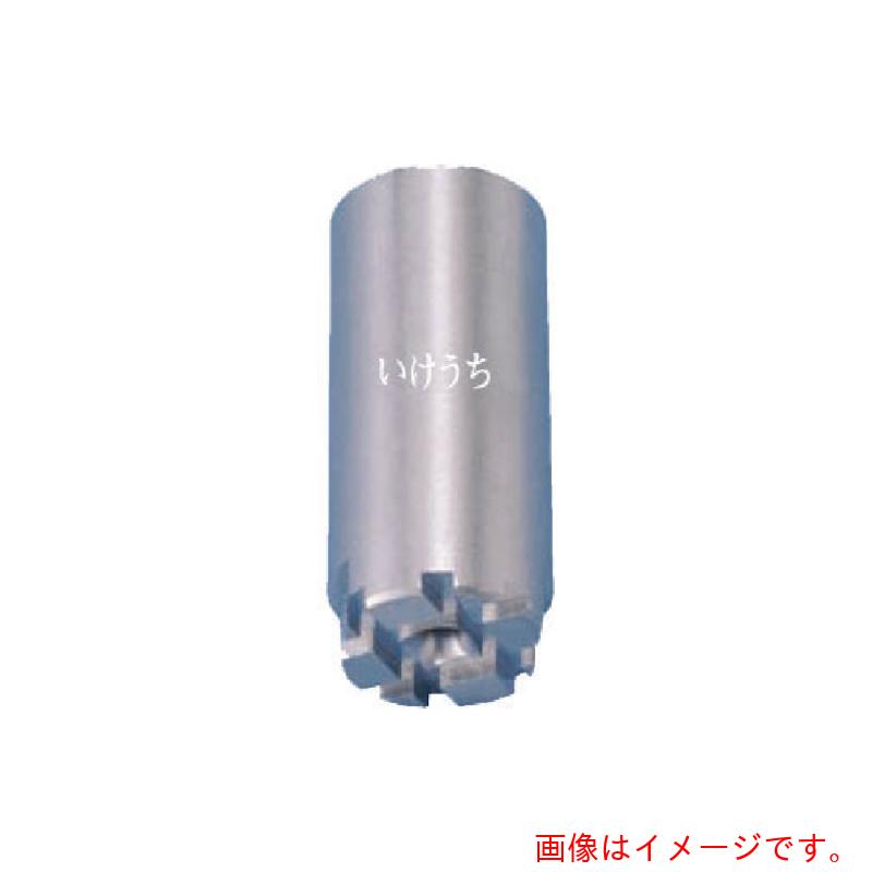 【別途送料あり】いけうち 充角錐ノズル ＳＳＸＰシリーズ ステンレス鋼３０３製 ネジ１メス １００° 【品番：1F-SSXP-50-S303】