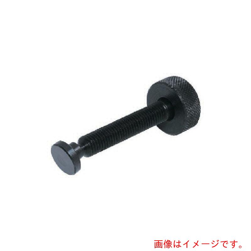イマオコーポレーション（IMAO） ローレットヘッドスクリュー 【品番：BJ737-16075B】