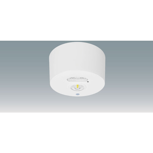 アイリスオーヤマ ＩＲＩＳ ＬＥＤ照明器具 ２８９１５７ 非常灯 低天井用 直付形 Φ１６０ ４５０ｌｍ 昼白色 （５０００） 【品番：IREL-CL3H/160-W】