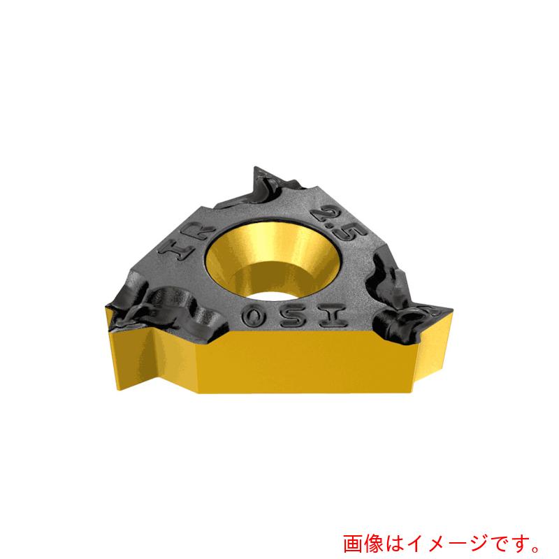 イスカルジャパン　ねじ切りチップ　ＩＲ／Ｌ－ＩＳＯ　ＩＣ９０８　【5個】 　【品番：06IR 1.25 ISO】