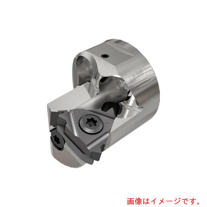 イスカルジャパン フラッシュターン 交換式ボーリングヘッド ＡＶＣ－Ｄ－ＳＩＲ／Ｌ 【品番：AVC-D32-SIL-22】