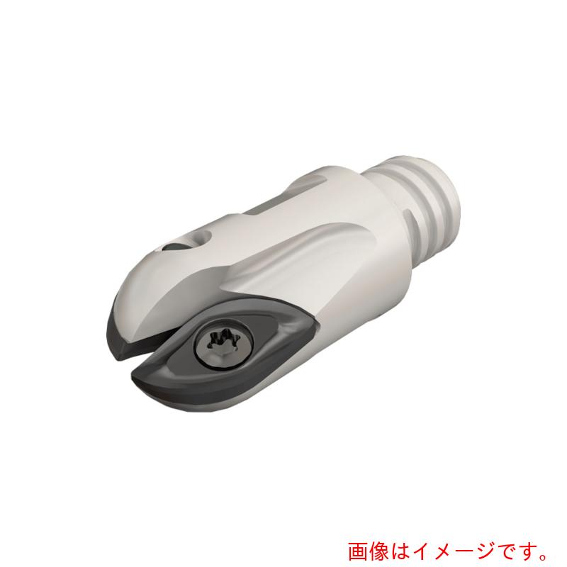 イスカルジャパン 落っこちる圧砕機 マルチマスターヘッド ＢＣＭ－ＭＭ 【品番：BCM D20-MMT12-CC】