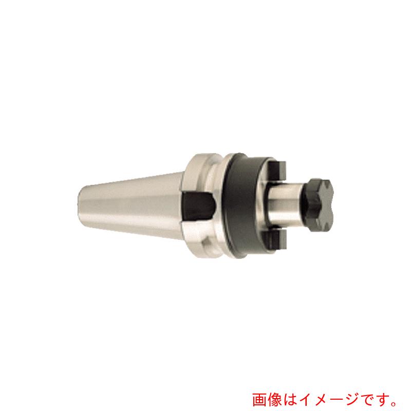 イスカルジャパン　フェースミルホルダー　ＢＴ－ＳＥＭ　【品番：BT30 SEM 22X 50】